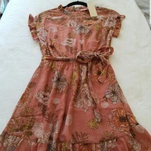 NWT Monteau Dress Size Small, Beautiful